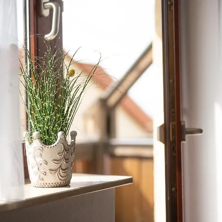 Hotel Hotel-gasthof Sondergeld *