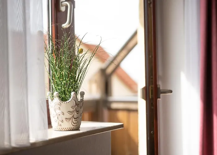 Hotel Hotel-gasthof Sondergeld *